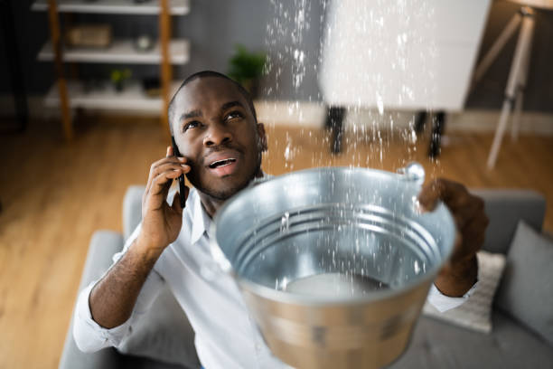 Best 24/7 water damage repair  in Progress, PA