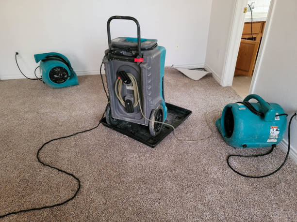 Best Water damage restoration cost  in Progress, PA