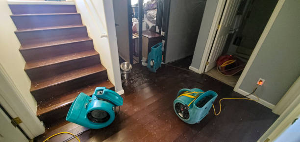 Best Water damage cleanup near me  in Progress, PA