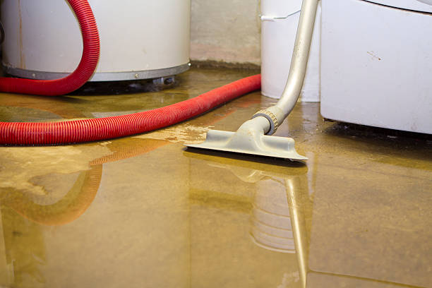 Best Water damage cleanup near me  in Progress, PA