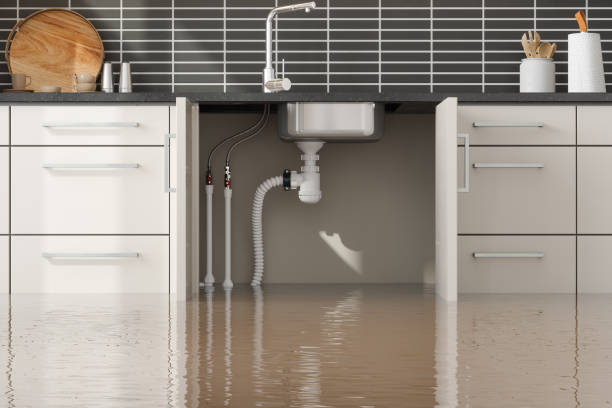 Best Water damage cleanup near me  in Progress, PA